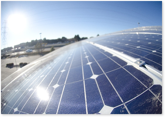 茨城で太陽光パネルを導入し経費節約へ